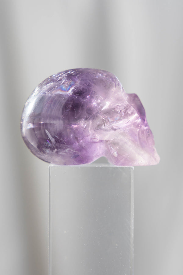 Phantom Amethyst Skull - 71g