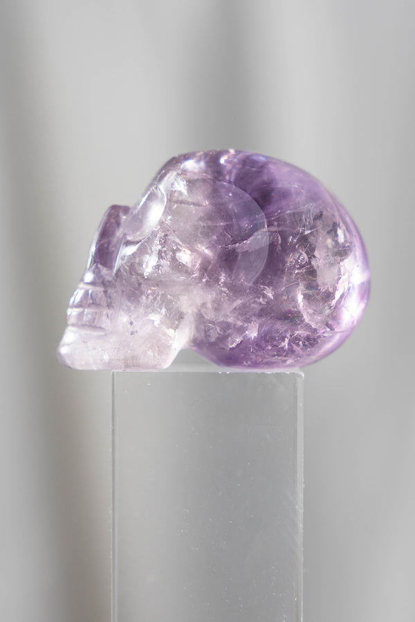 Phantom Amethyst Skull - 71g