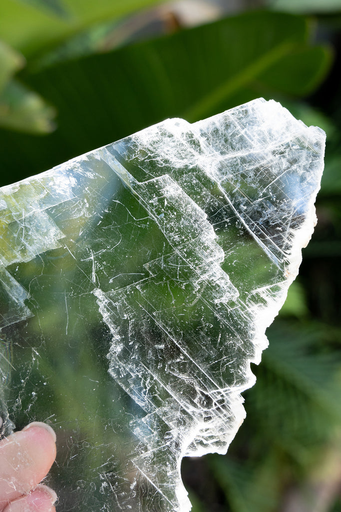 selenite window charging plate crystal